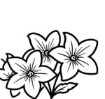 Flowers - Image 3